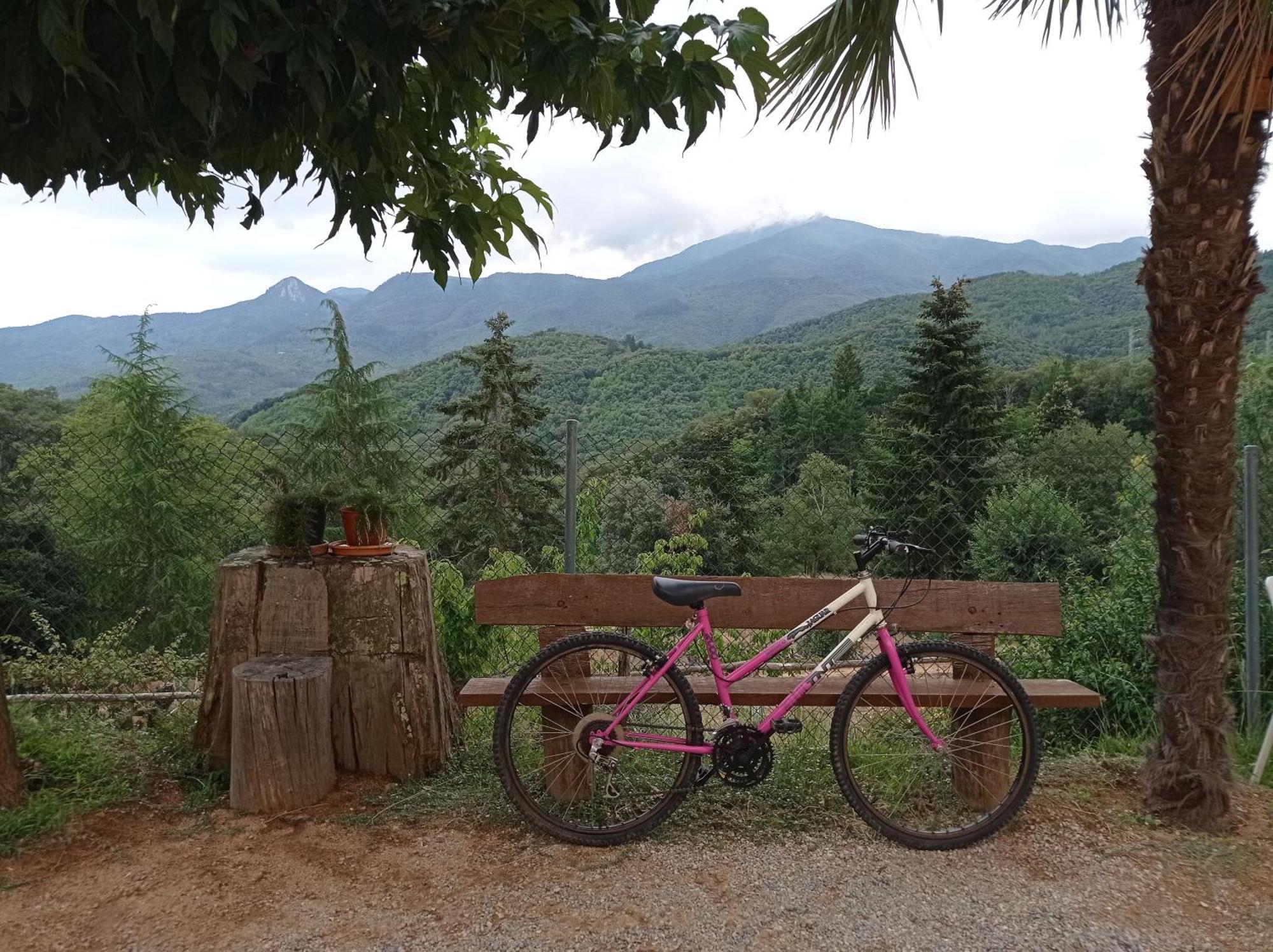 Apartamento En Pleno Montseny Mas Romeu Turisme Rural Arbúcies Exterior foto